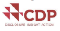 Logo CDP