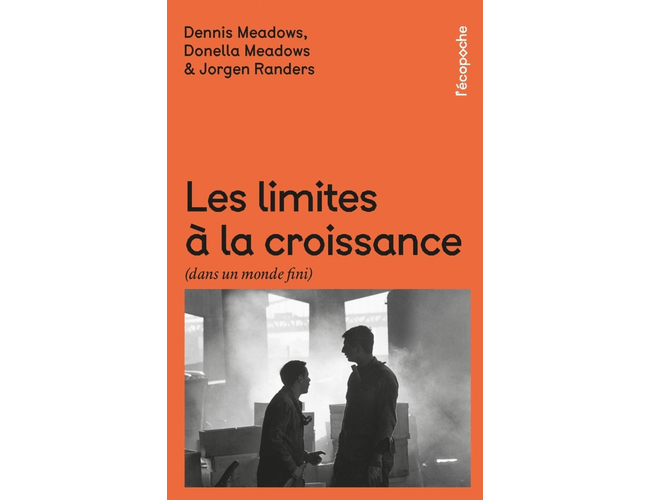 Les limites à la croissance